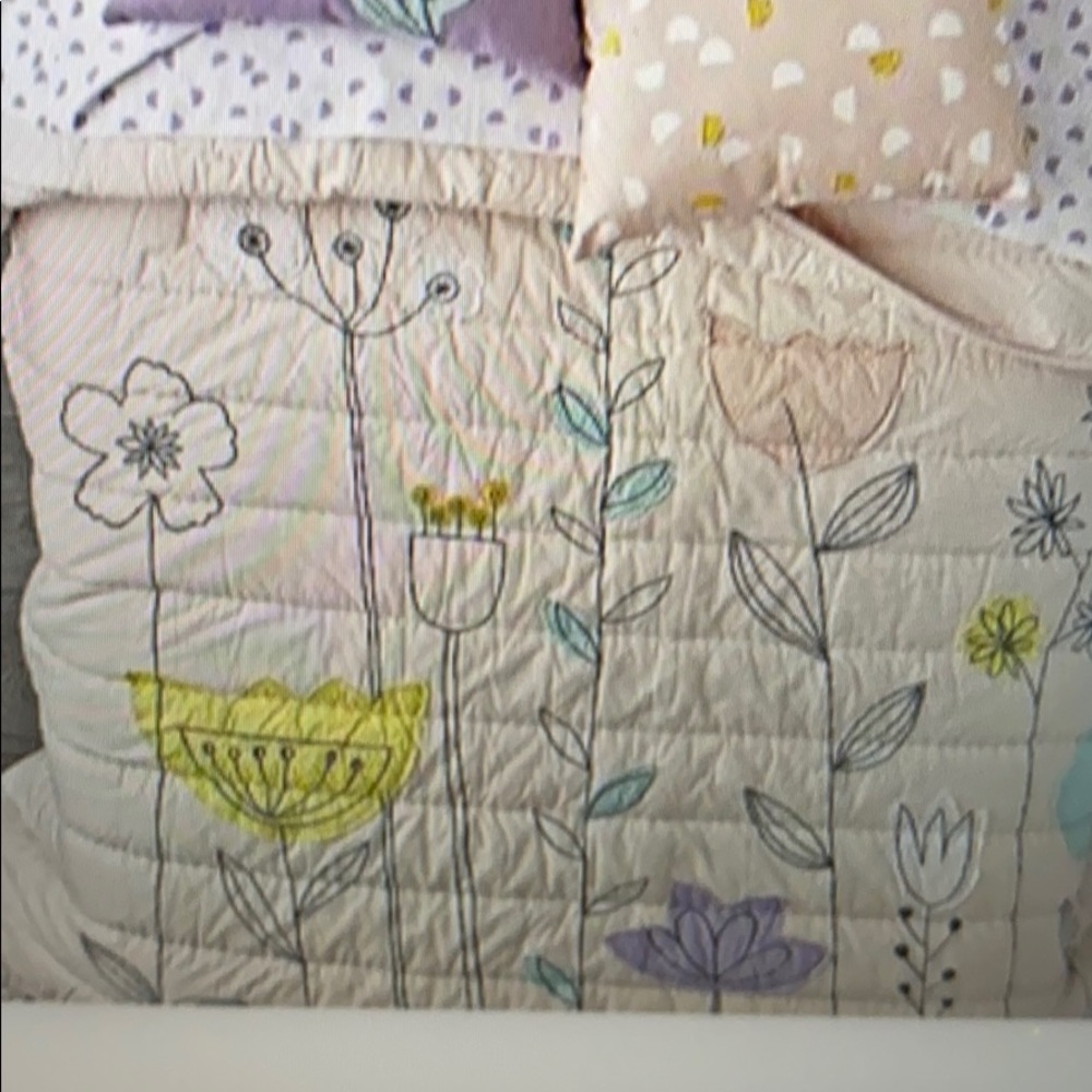 Crate & Barrel kids pastel floral quilt